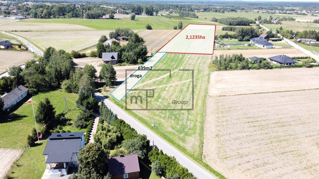 Mirzec