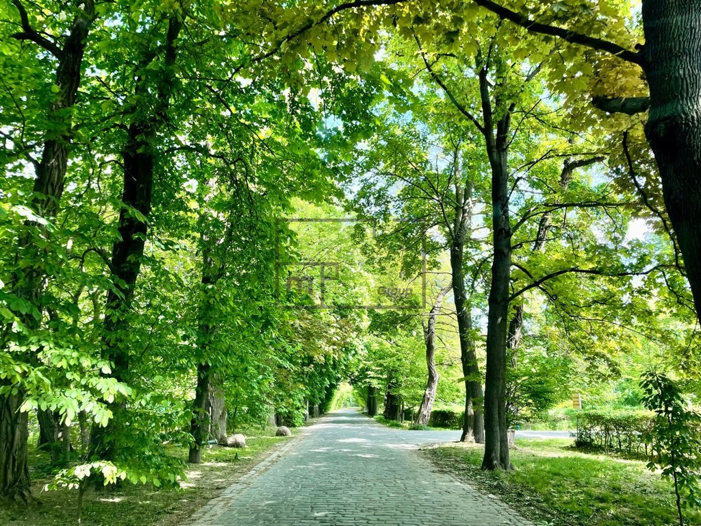 Ożarów Mazowiecki, Srebrzysta Aleja