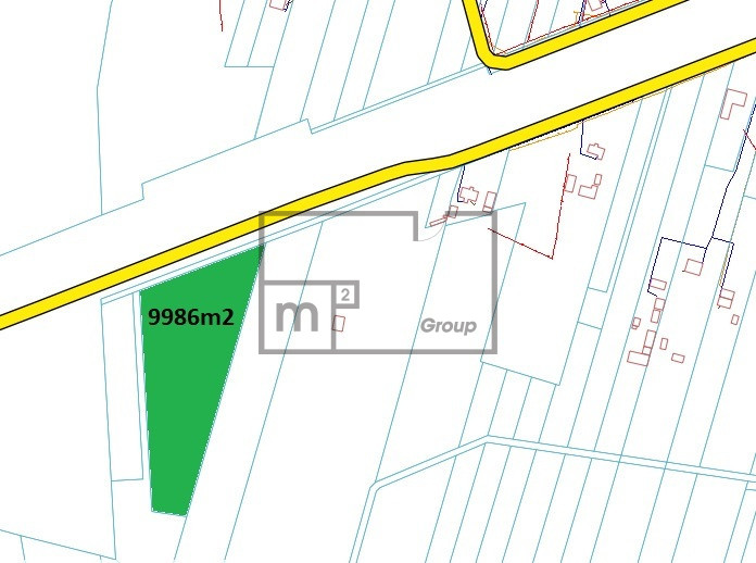 Albinów