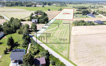 Mirzec